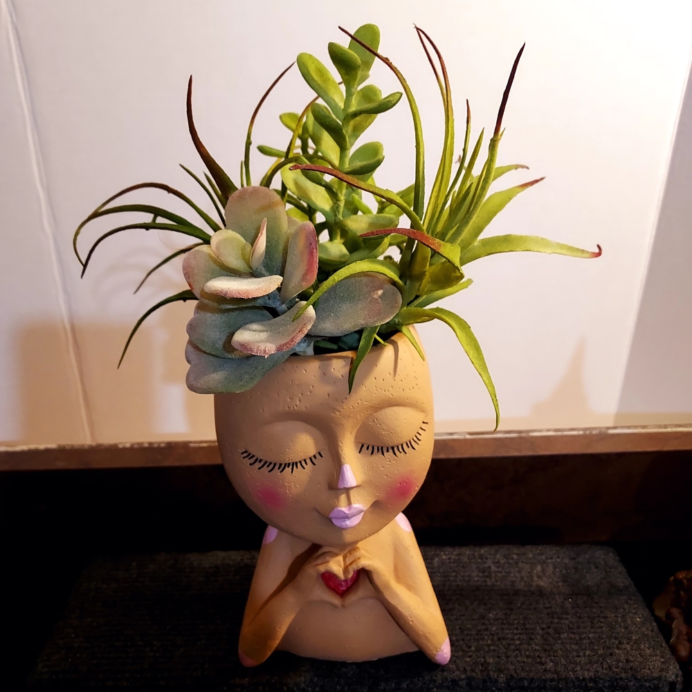 Succulent Planter with Face Design